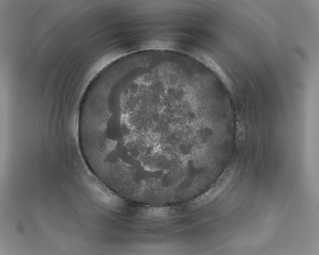 X0000111531035200907141524