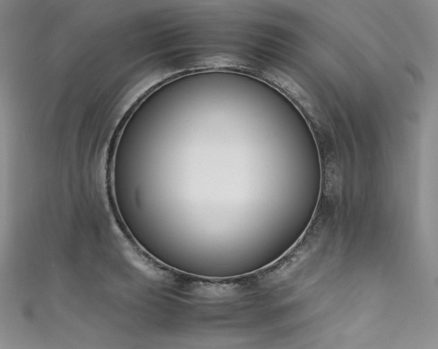 X0000111531039200907141524