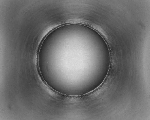 X0000111531040200907141524