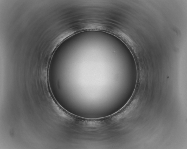 X0000111531041200907141524