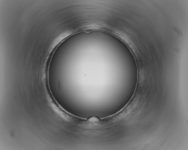 X0000111531042200907141524