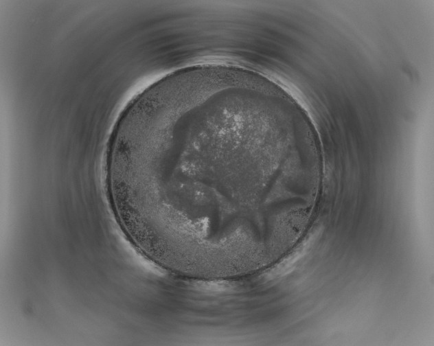 X0000111531045200907141524