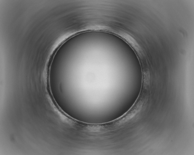 X0000111531046200907141524