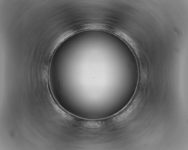 X0000111531049200907141524