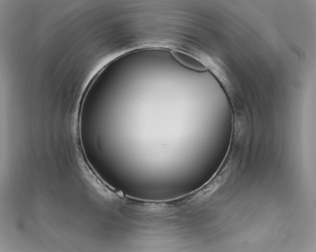 X0000111531052200907141524