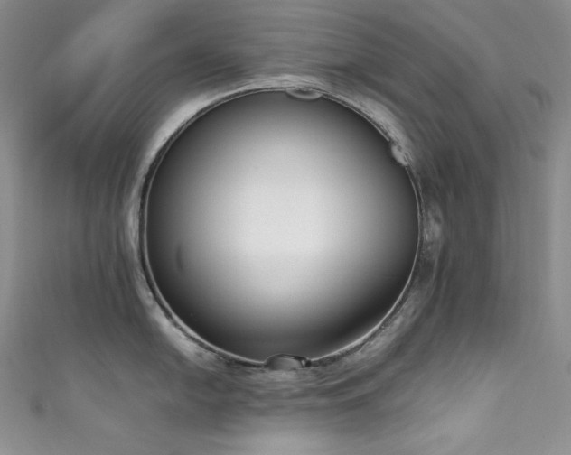 X0000111531054200907141524