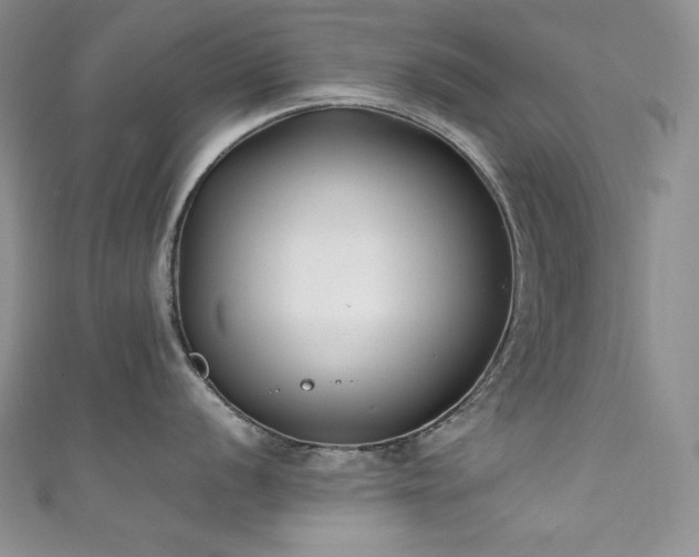 X0000111531056200907141524