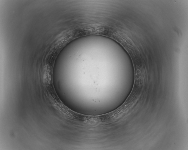 X0000111531058200907141523