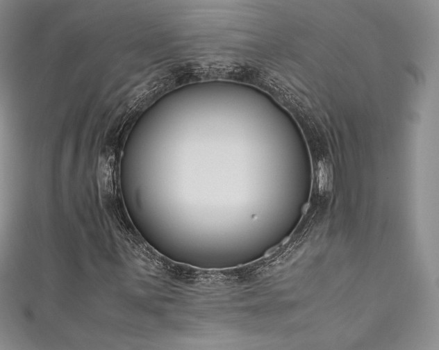 X0000111531059200907141523