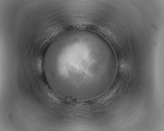 X0000111531060200907141523