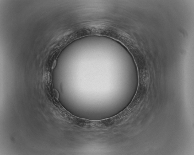 X0000111531061200907141523