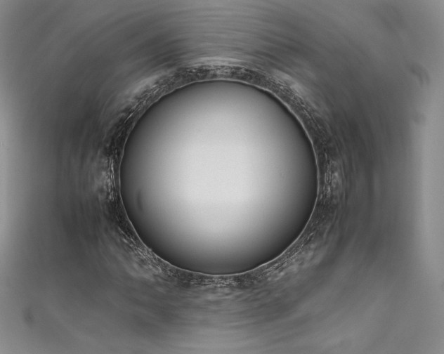 X0000111531062200907141523