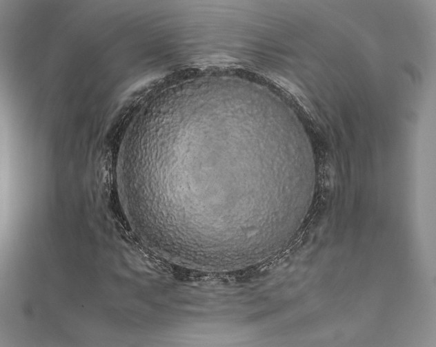 X0000111531063200907141523