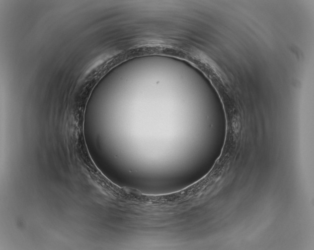 X0000111531064200907141523