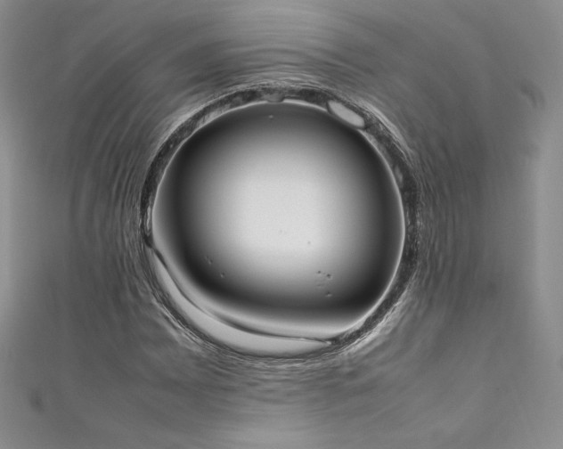 X0000111531065200907141523