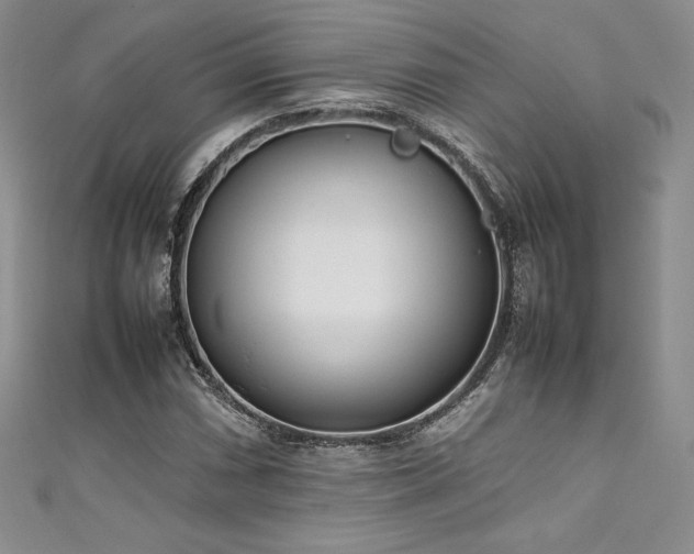 X0000111531066200907141523