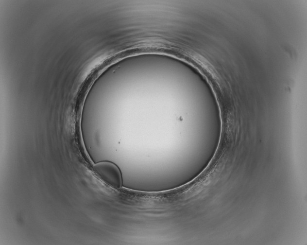 X0000111531067200907141523