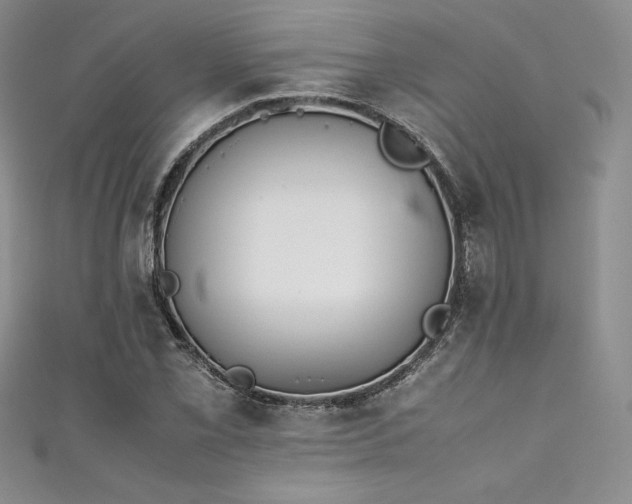 X0000111531069200907141523