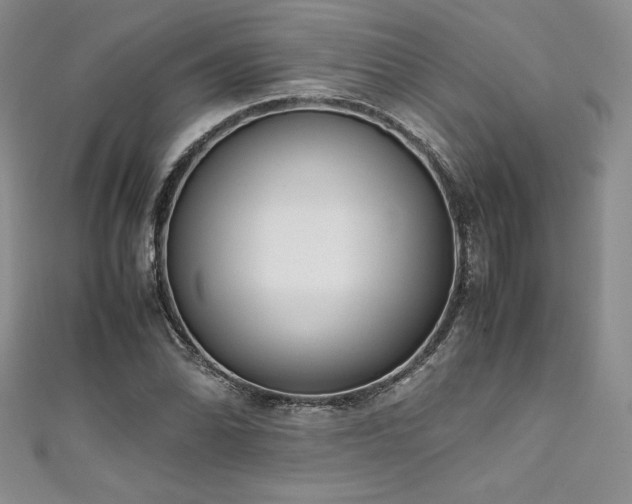 X0000111531070200907141523