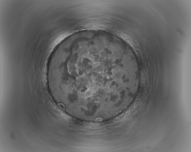 X0000111531071200907141523