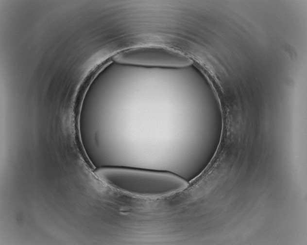 X0000111531072200907141523