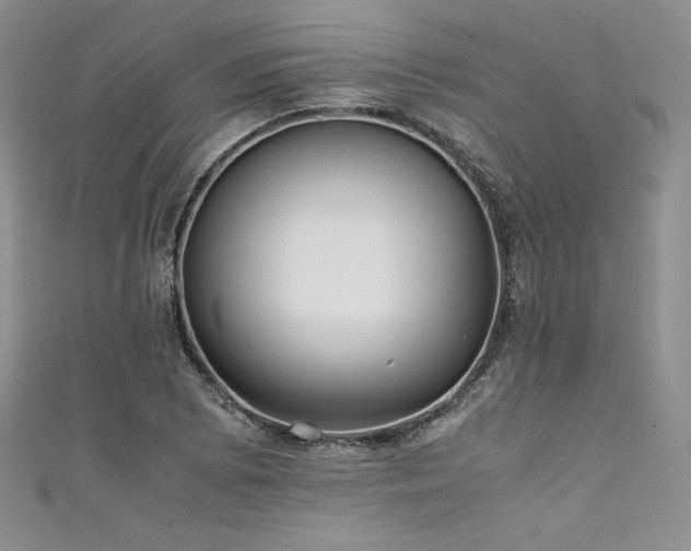 X0000111531073200907141523