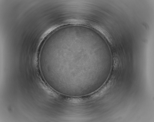 X0000111531074200907141523