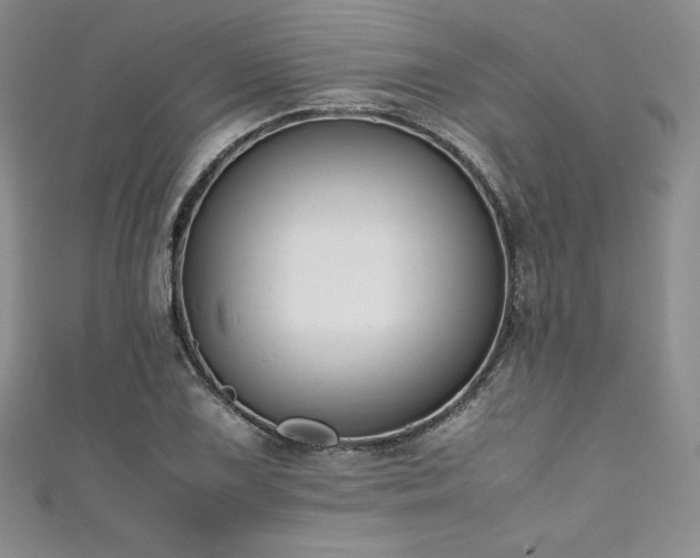 X0000111531075200907141523