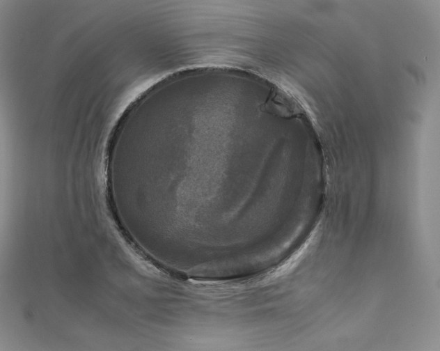 X0000111531077200907141523