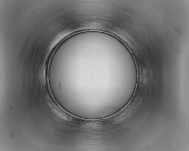 X0000111531078200907141523