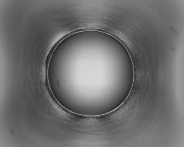 X0000111531079200907141523