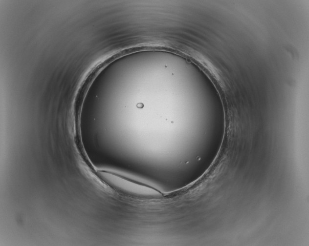 X0000111531080200907141523