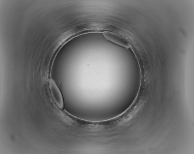 X0000111531081200907141523