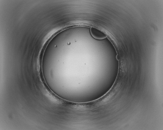 X0000111531082200907141523