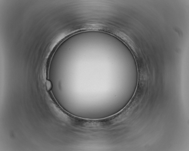 X0000111531083200907141523