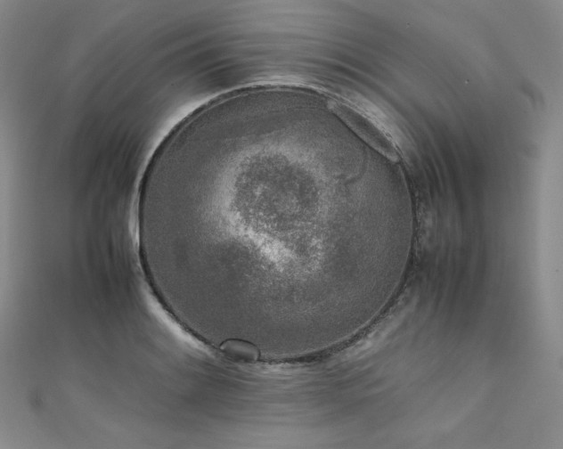 X0000111531084200907141523