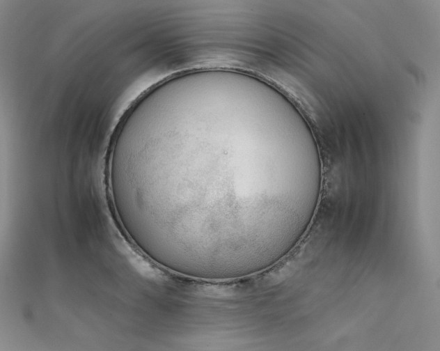 X0000111531086200907141523