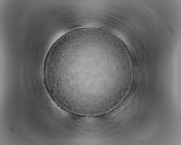 X0000111531087200907141523