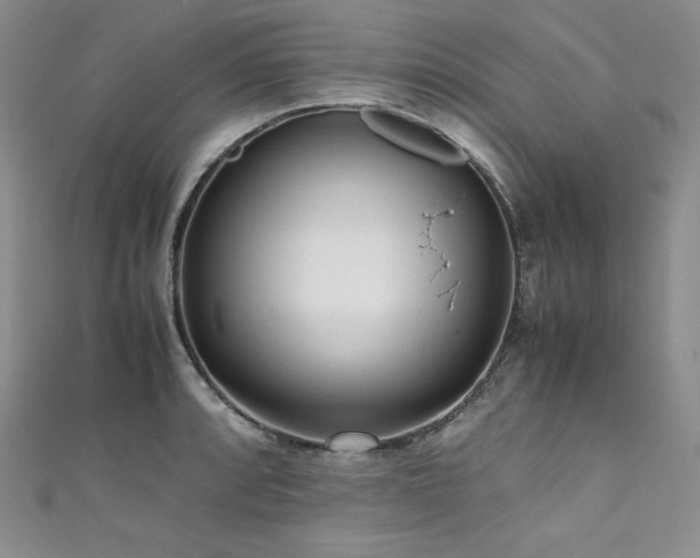 X0000111531088200907141523