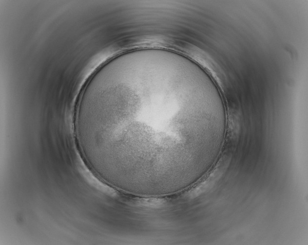 X0000111531090200907141523