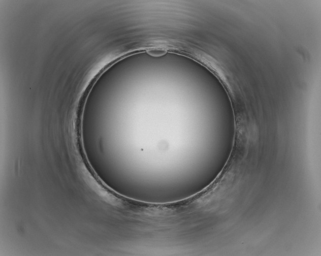 X0000111531091200907141523