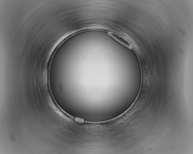 X0000111531092200907141523