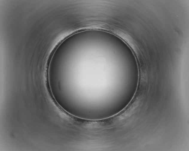 X0000111531093200907141523