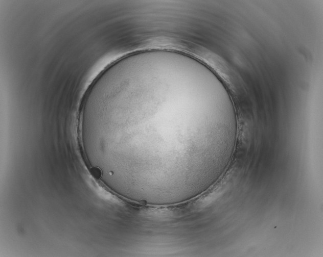 X0000111531094200907141523