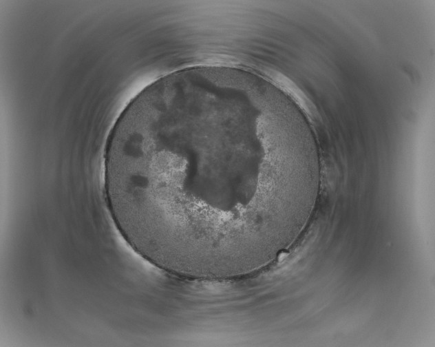 X0000111531095200907141523