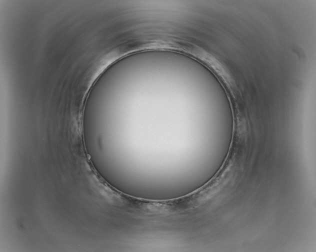 X0000111531097200907141523