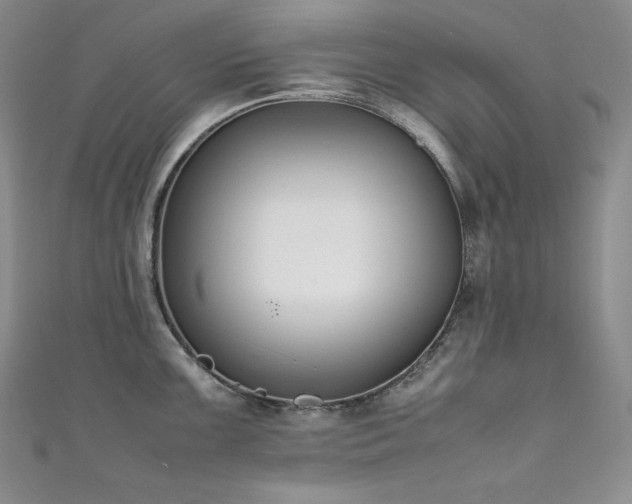 X0000111531099200907141523