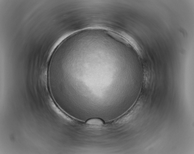 X0000111531100200907141523