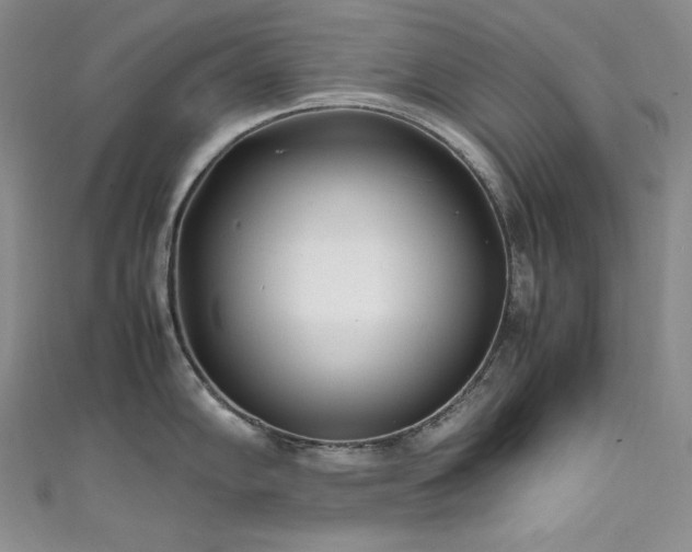 X0000111531102200907141523