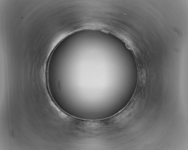 X0000111531103200907141523